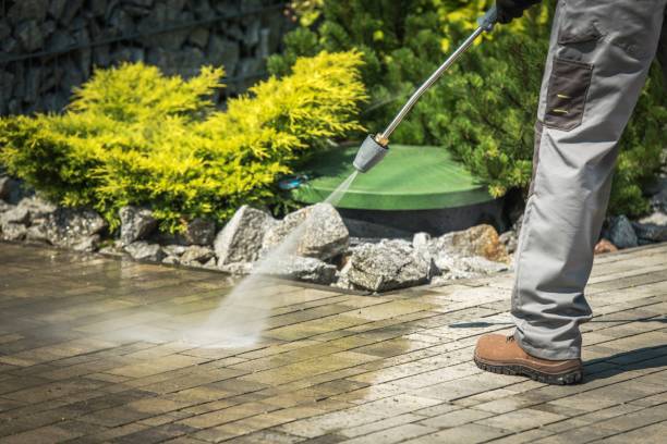 Best Roof Washing  in Rocky Point, NY