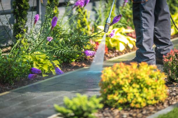 Best Spring Cleaning  in Rocky Point, NY